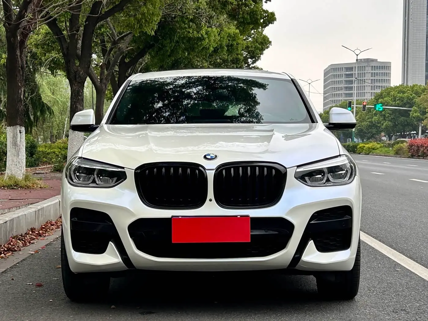 BMW X4 2021 — Фото 2/18