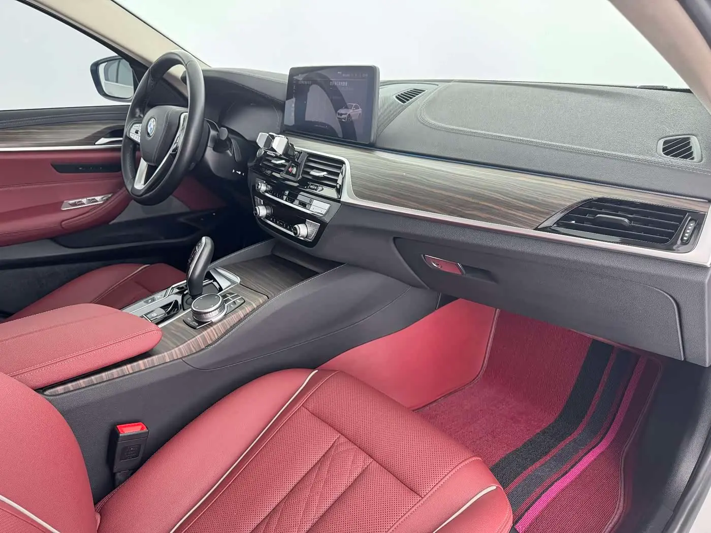 BMW 5 Series New Energy 2021 — Фото 13/17