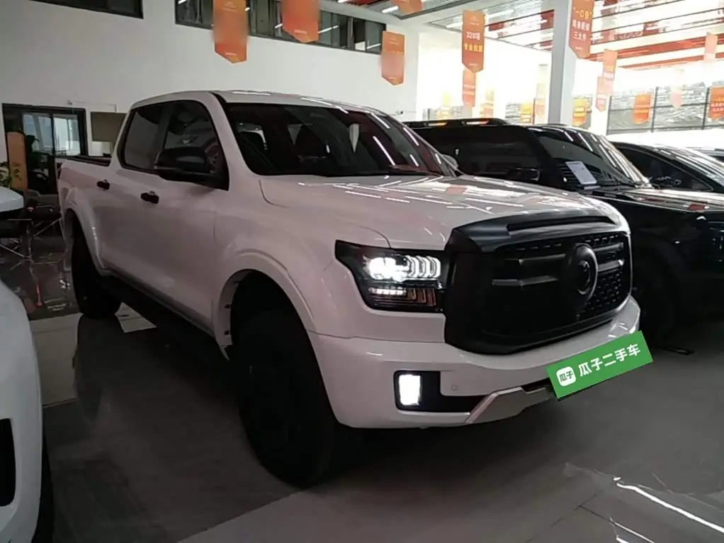 Great Wall Shanhai Cannon 2025 — ფოტო 4/20