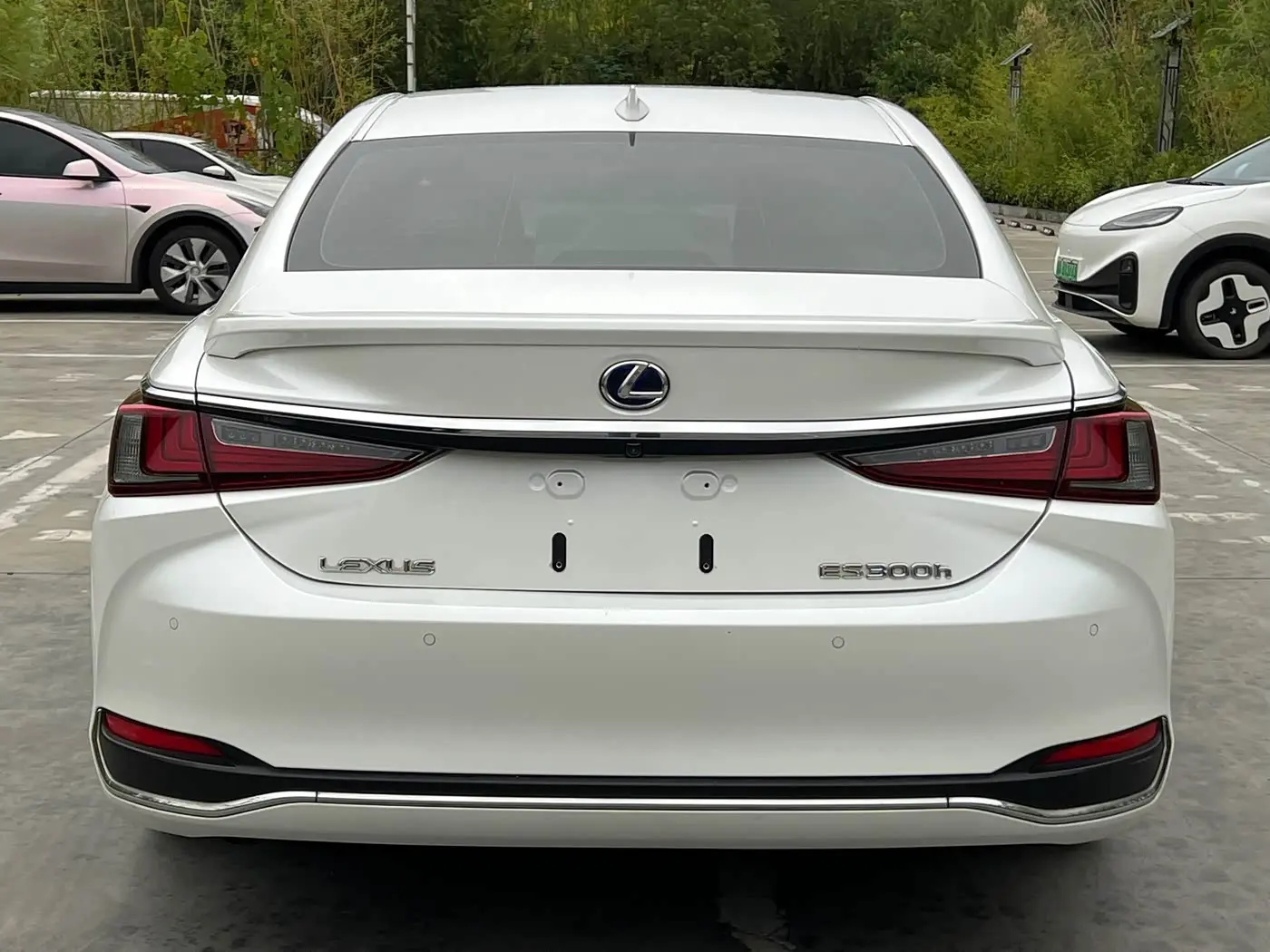 Lexus ES 2021 — Фото 8/9