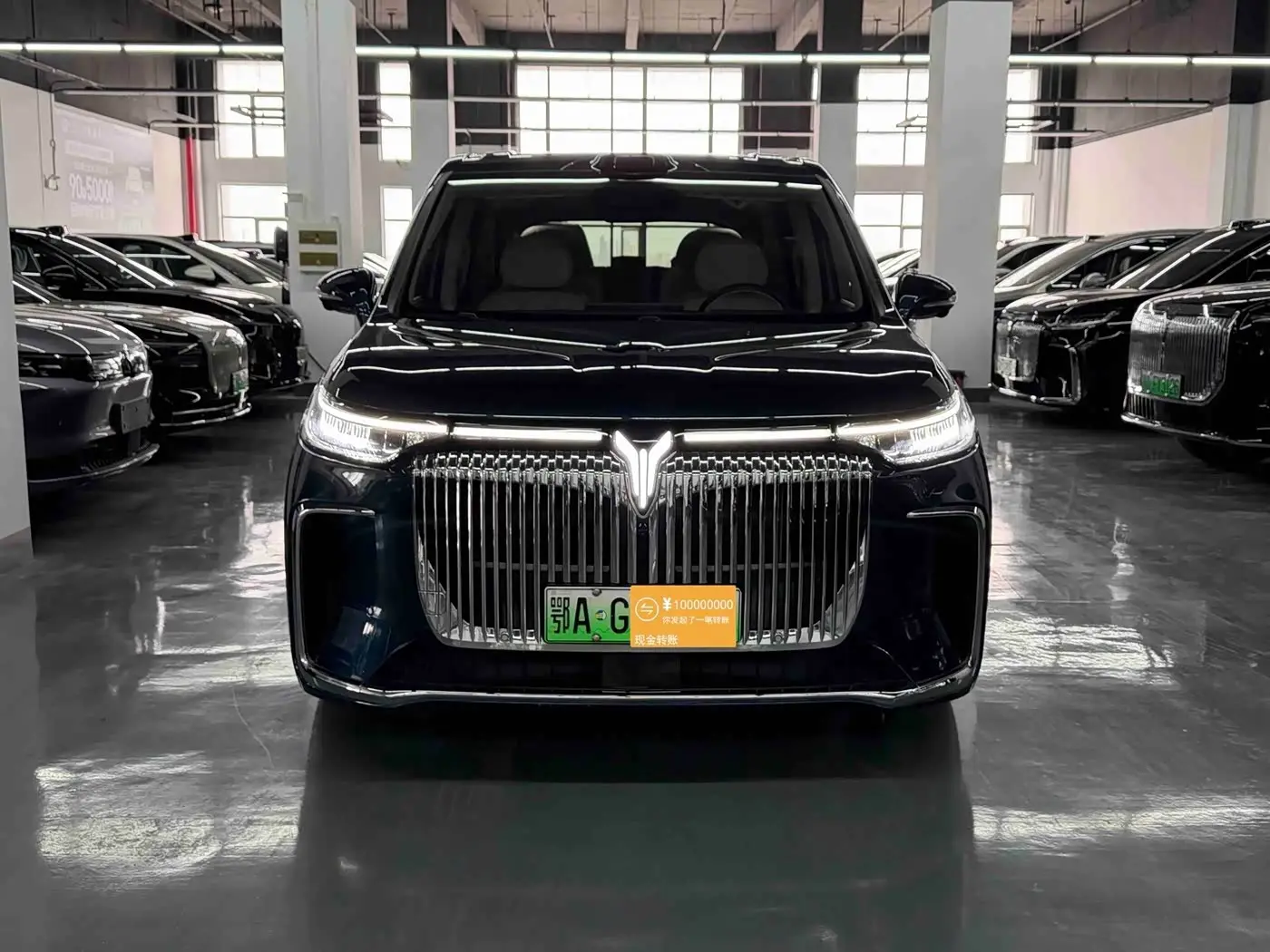 Voyah Auto Voyah Dreamer 2025 — Photo 2/9