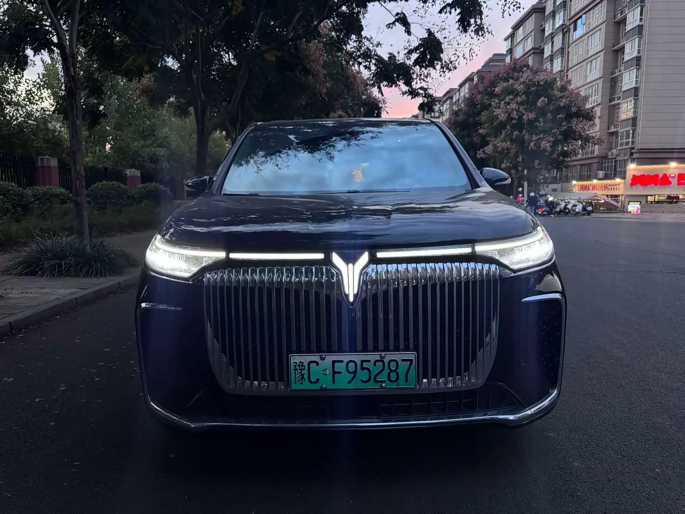 Voyah Auto Voyah Dreamer 2025 — Photo 2/9