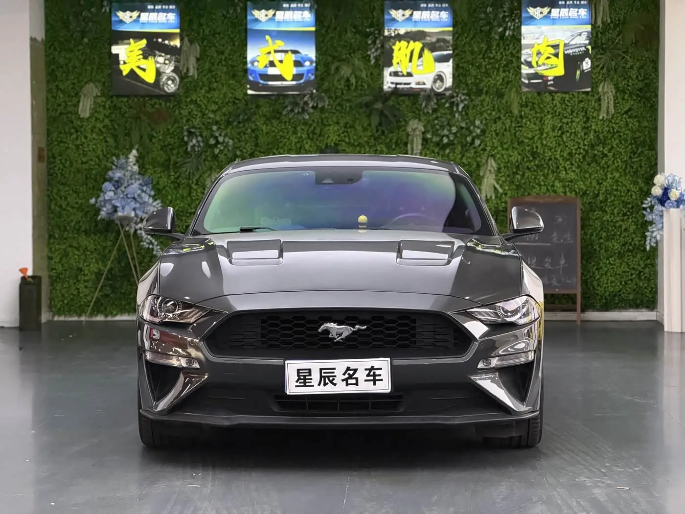 Ford Mustang 2019 — Фото 3/10