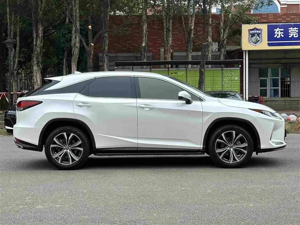 Lexus RX 2022 — Photo 6/11