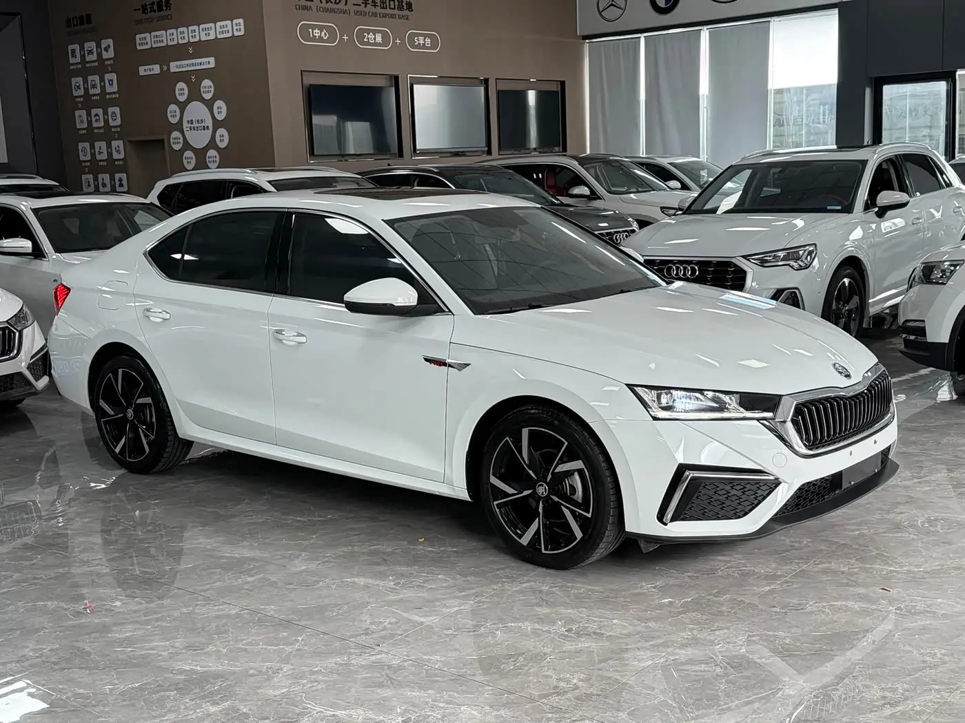 Škoda Octavia 2023 — Фото 3/15