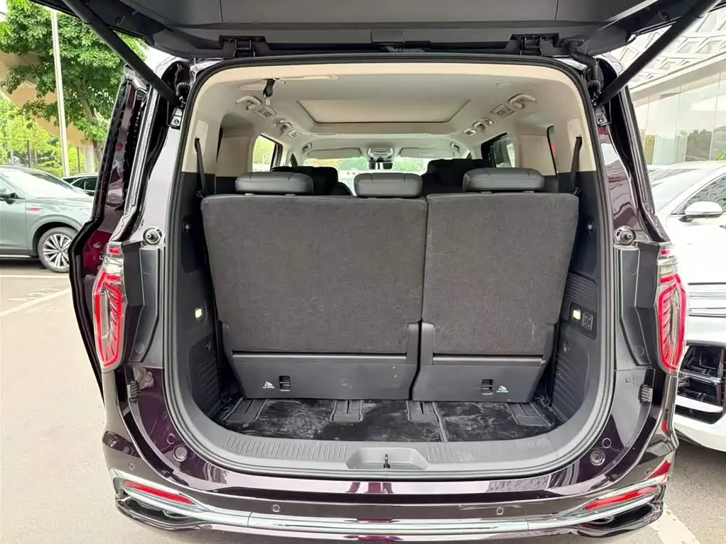 Hongqi HQ9 PHEV 2024 — Photo 9/20