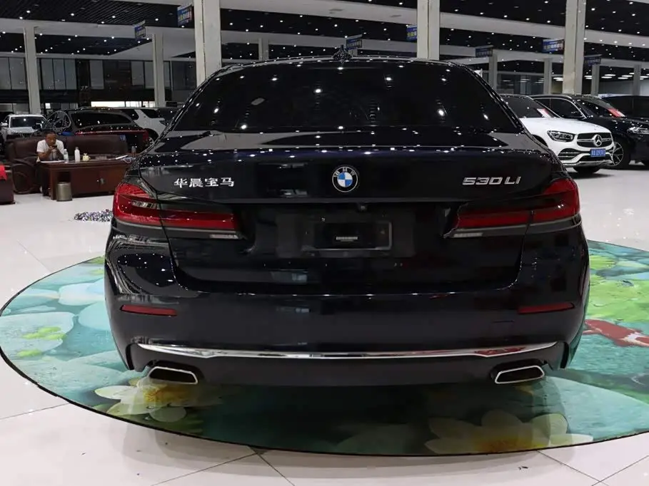 BMW 5 Series 2020 — Photo 5/20
