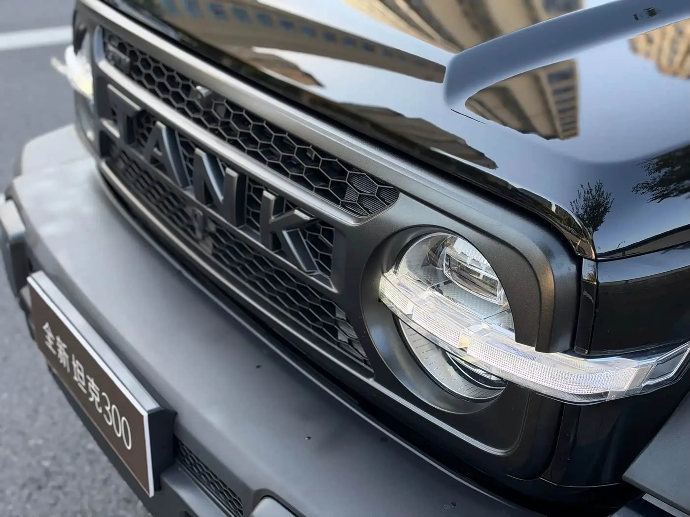 Tank 300L New Energy 2026 — Photo 10/20