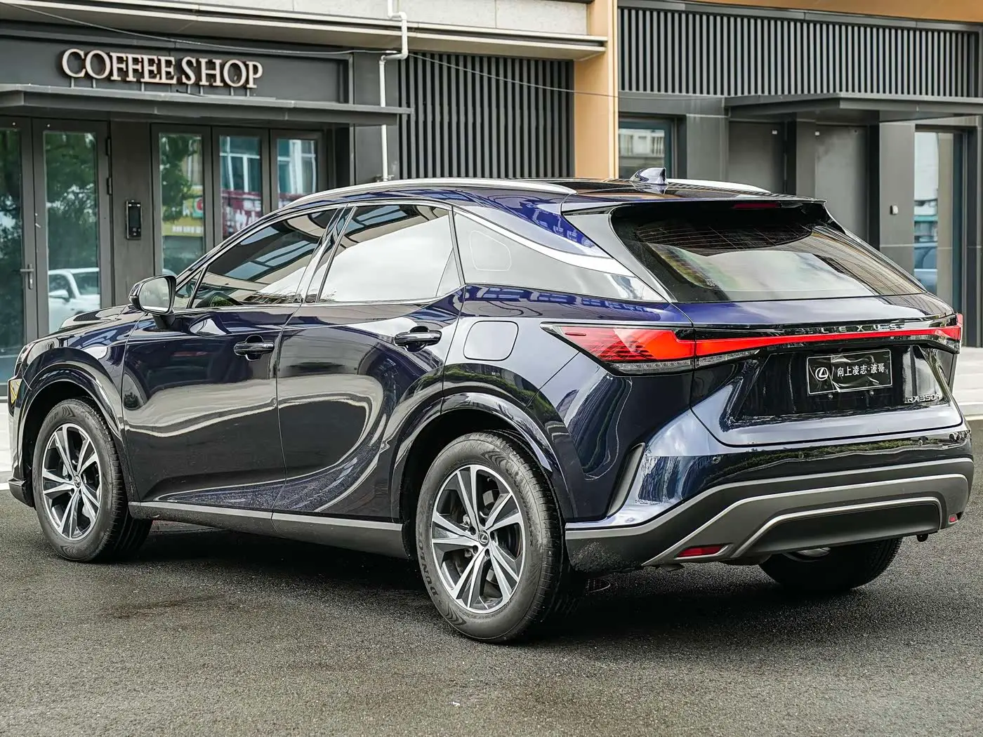 Lexus RX 2023 — Photo 6/20