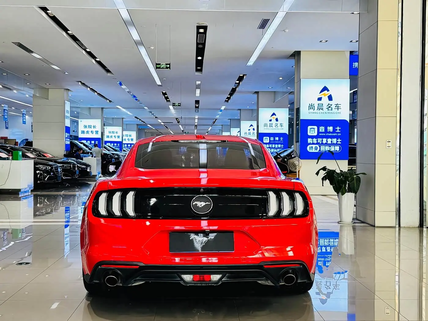 Ford Mustang 2019 — Photo 8/18