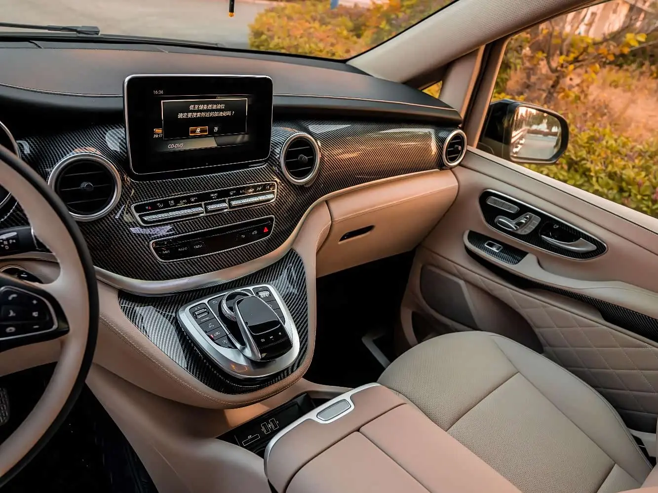 Mercedes-Benz V-Class 2019 — Фото 12/20