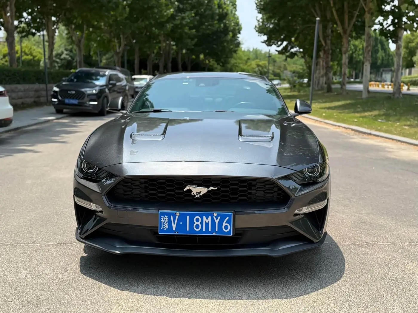 Ford Mustang 2019 — Photo 2/9