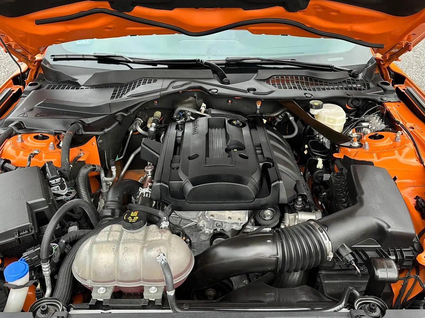 Ford Mustang 2021 — Photo 16/18