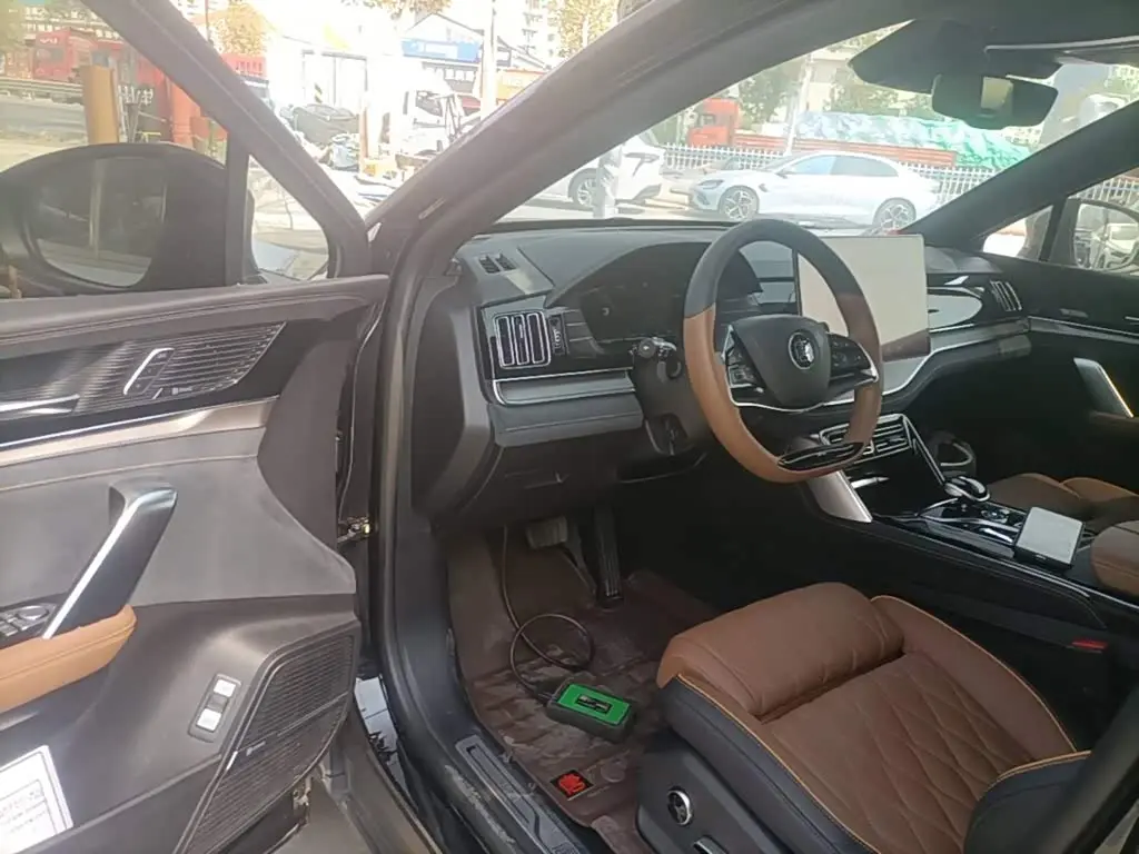 BYD Tang New Energy 2021 — ფოტო 16/20