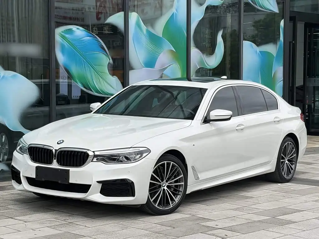 BMW 5 Series 2020 — ფოტო 1/16