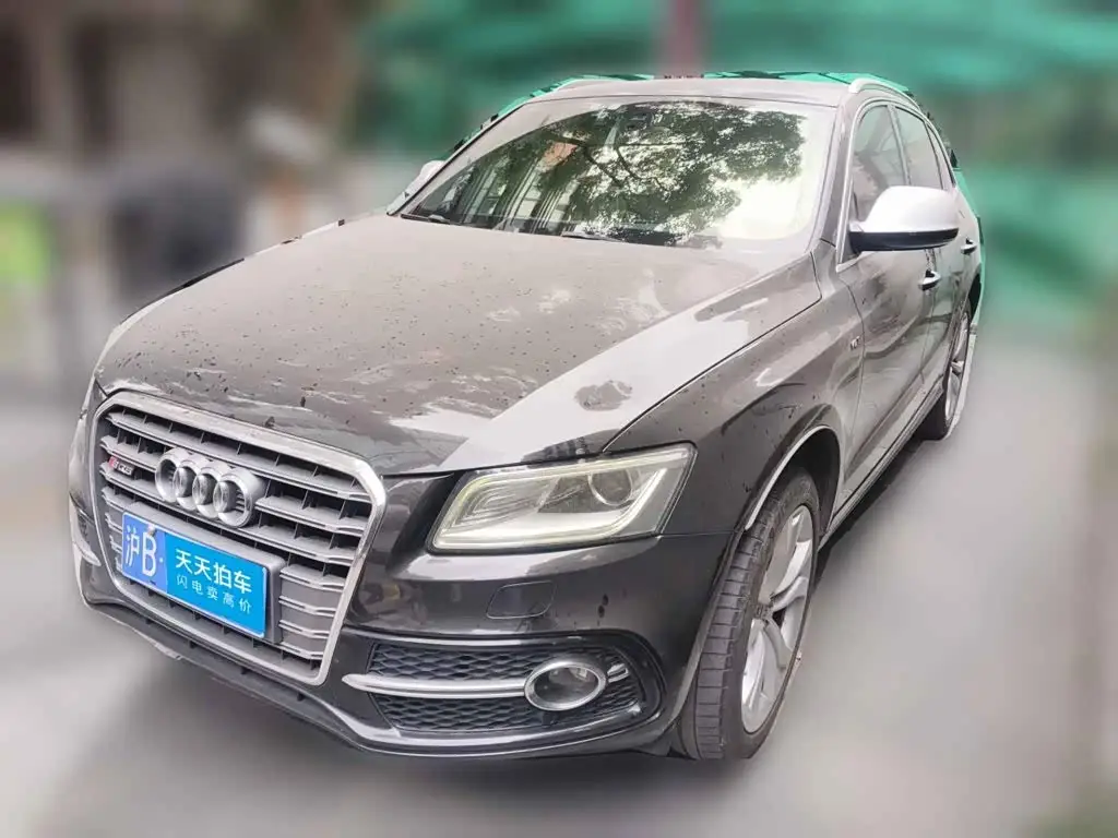 Audi SQ5, 2016