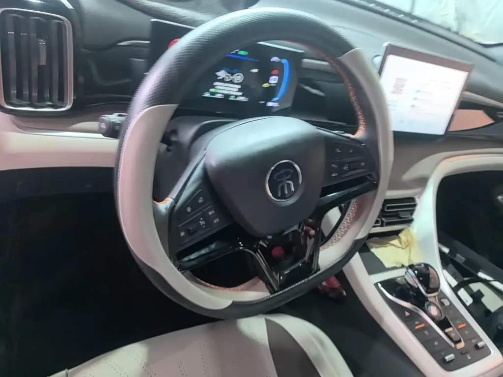 BYD Song Pro New Energy 2024 — Photo 11/20