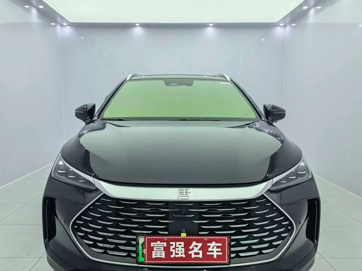 BYD Tang New Energy 2024 — Photo 2/17