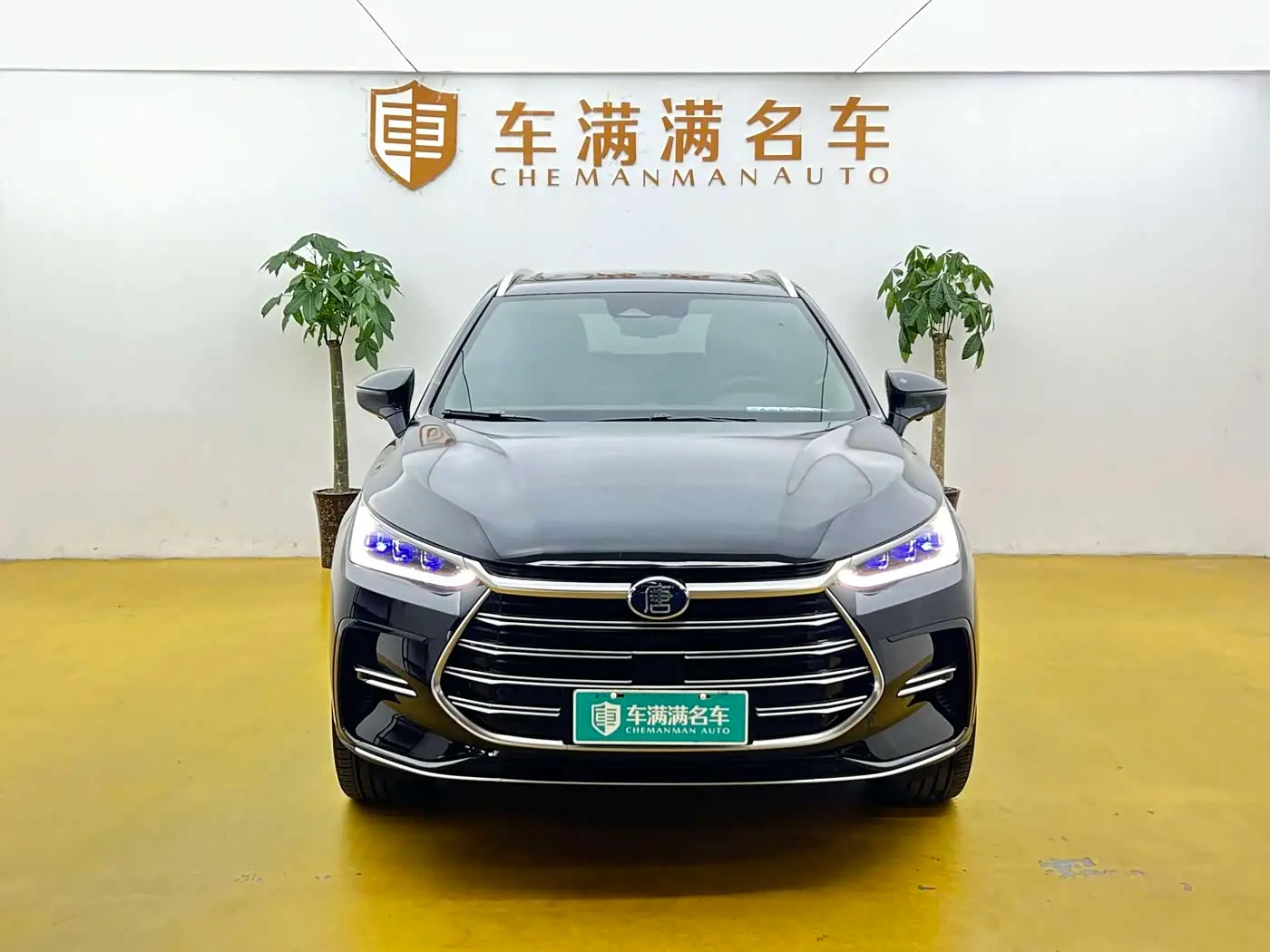 BYD Tang New Energy 2023 — Photo 2/10