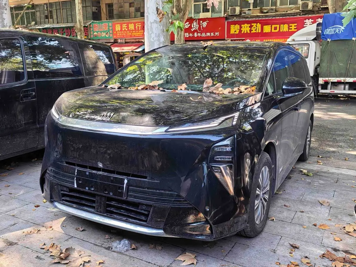 Buick Zhijing Shijia 2026 — Photo 1/10
