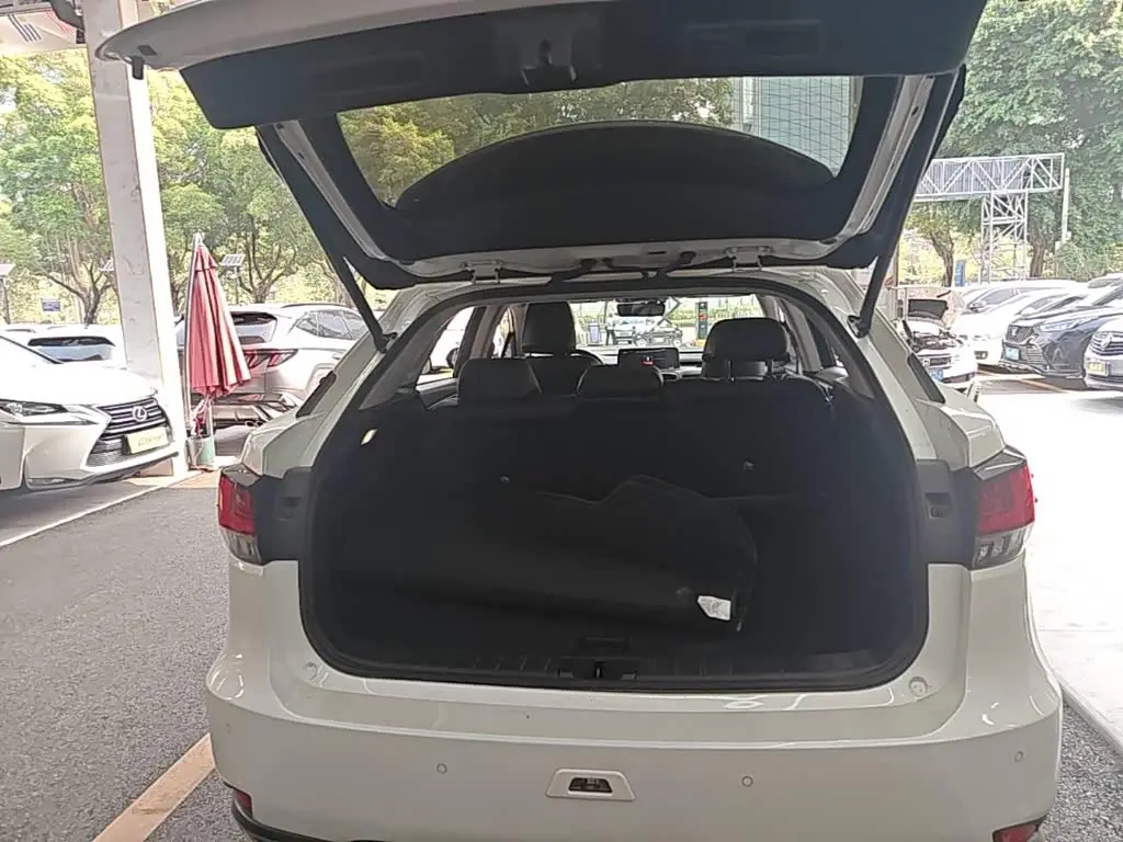 Lexus RX 2022 — Photo 18/19