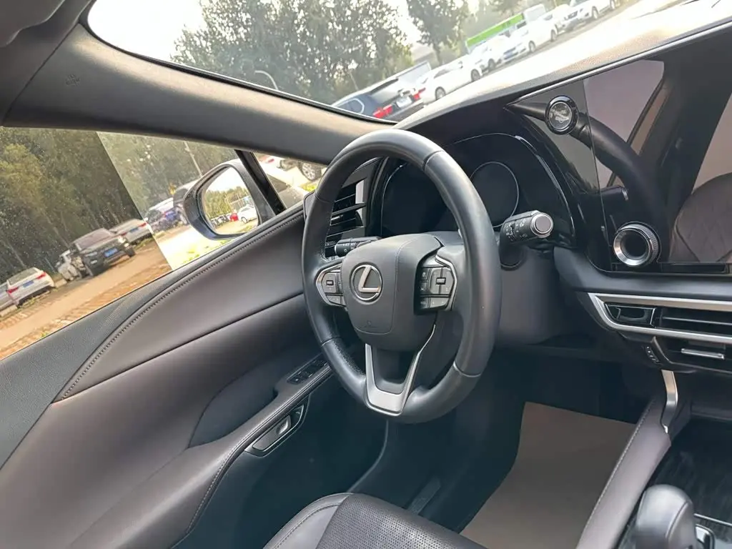 Lexus RX 2024 — Photo 20/20