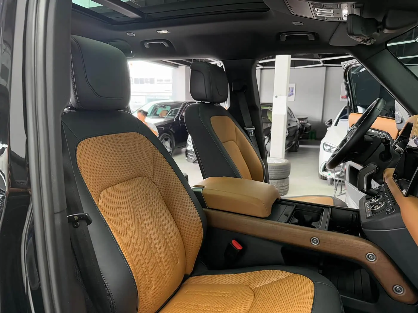 Land Rover Defender 2022 — ფოტო 13/16