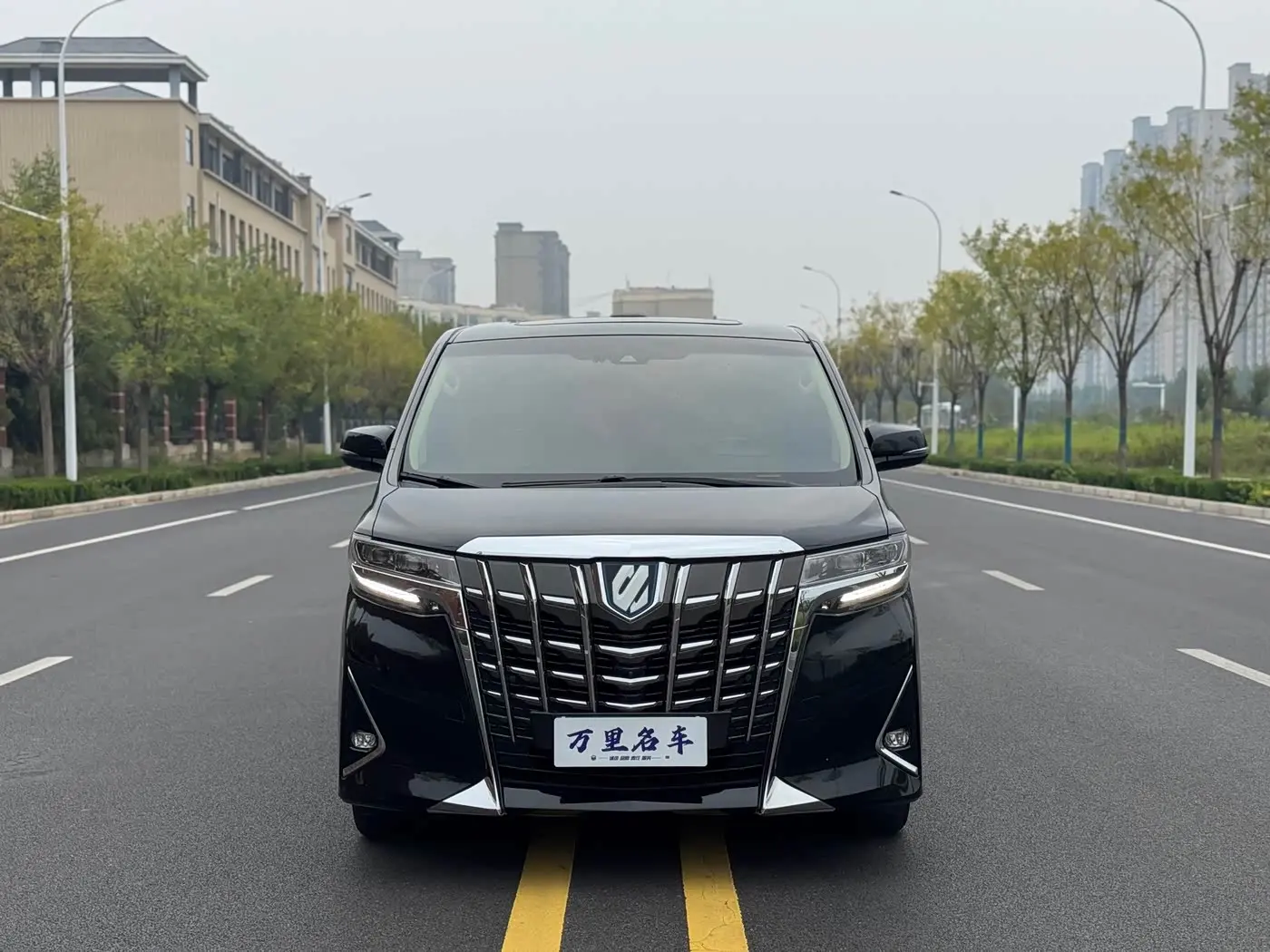 Toyota Alphard 2020 — Photo 2/20