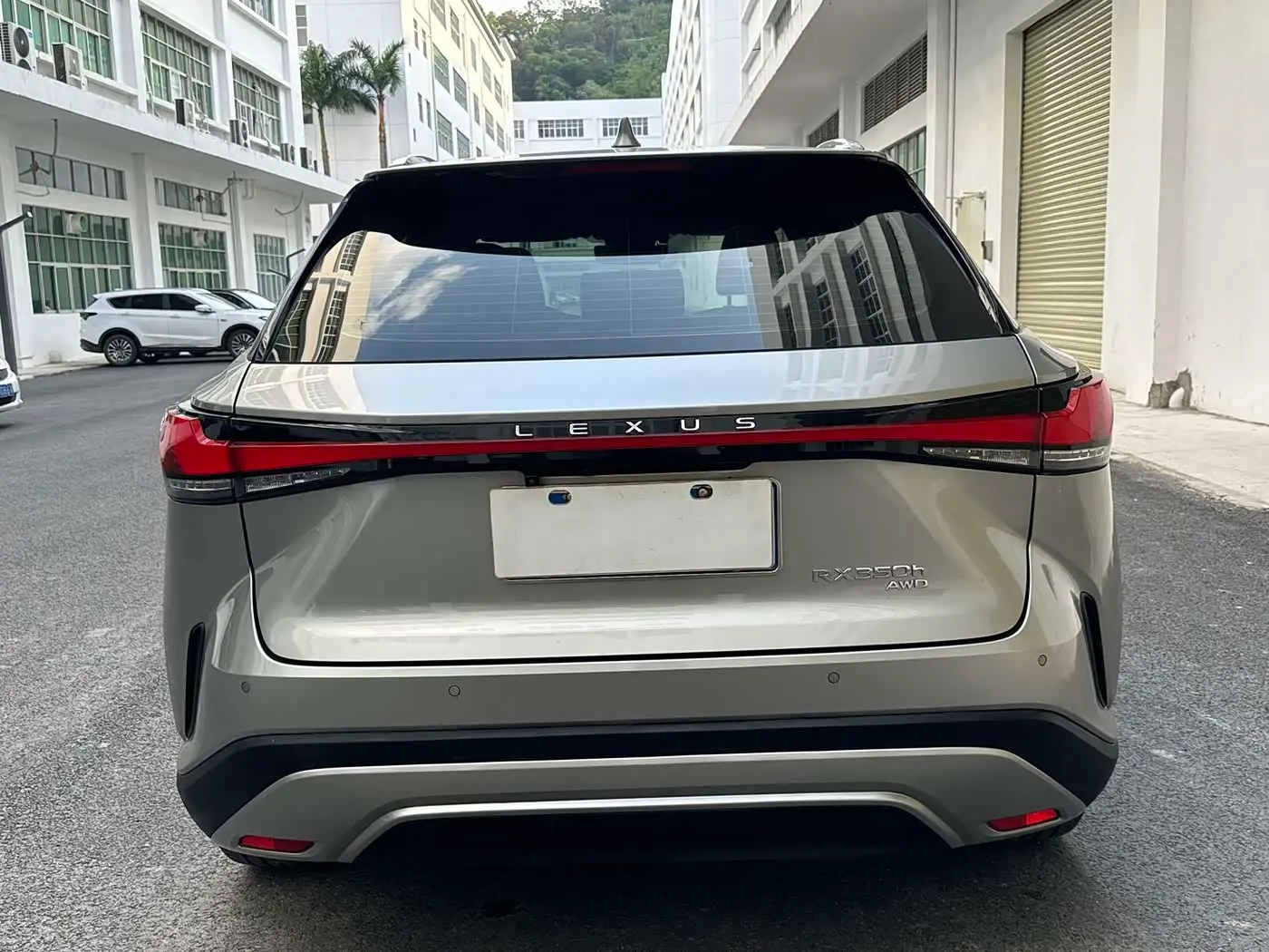 Lexus RX 2023 — Фото 14/16