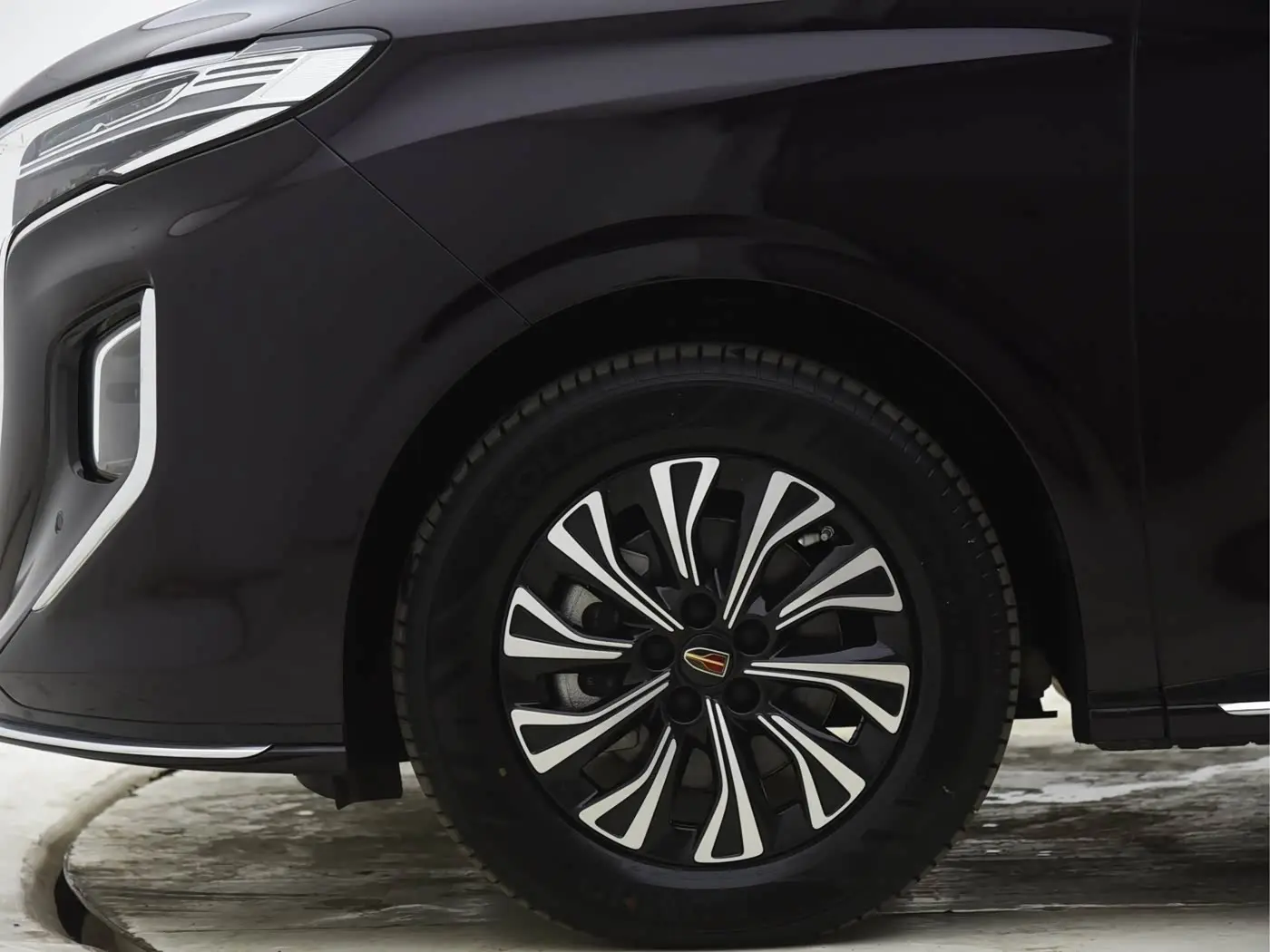 Hongqi HQ9 PHEV 2024 — Фото 14/17
