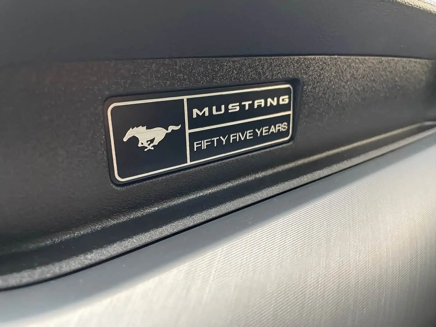 Ford Mustang 2021 — Photo 16/17