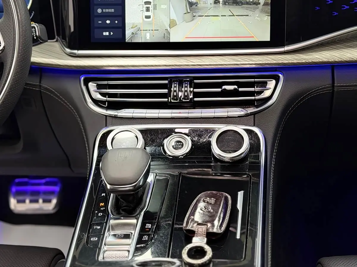 Hongqi H9 2020 — Photo 9/20