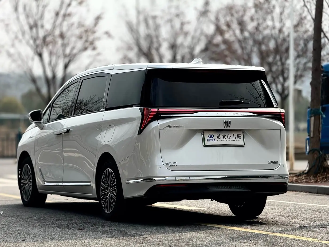 Buick GL8 New Energy 2024 — Photo 6/17