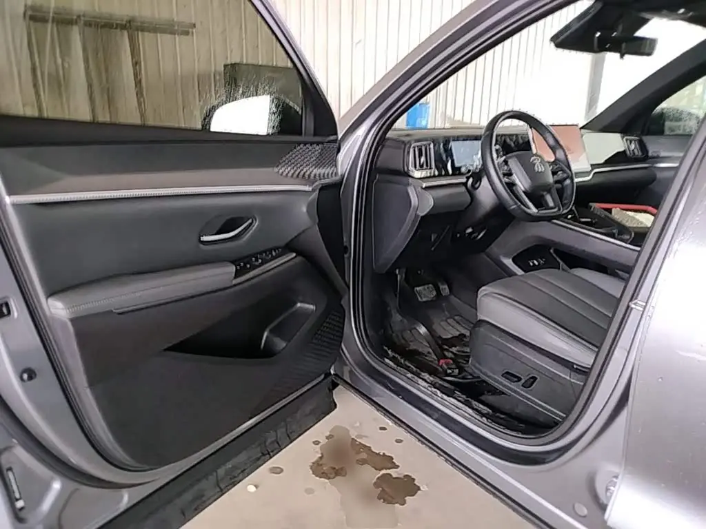 BYD Song Pro New Energy 2025 — Photo 12/20