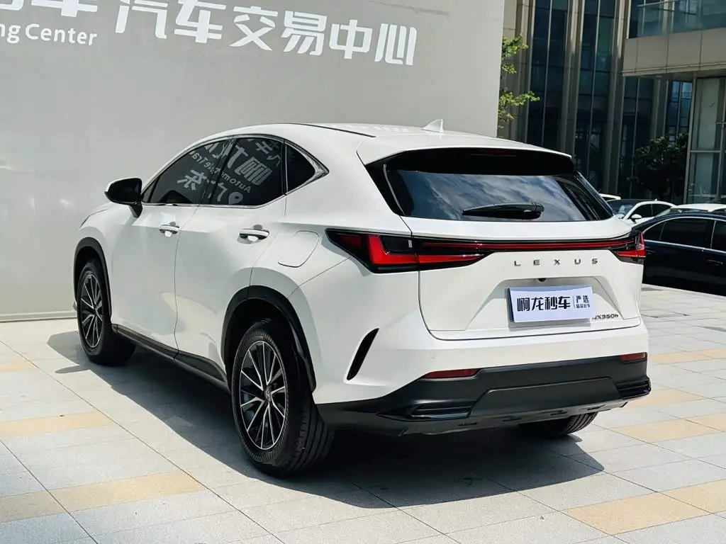 Lexus NX 2024 — Фото 15/20