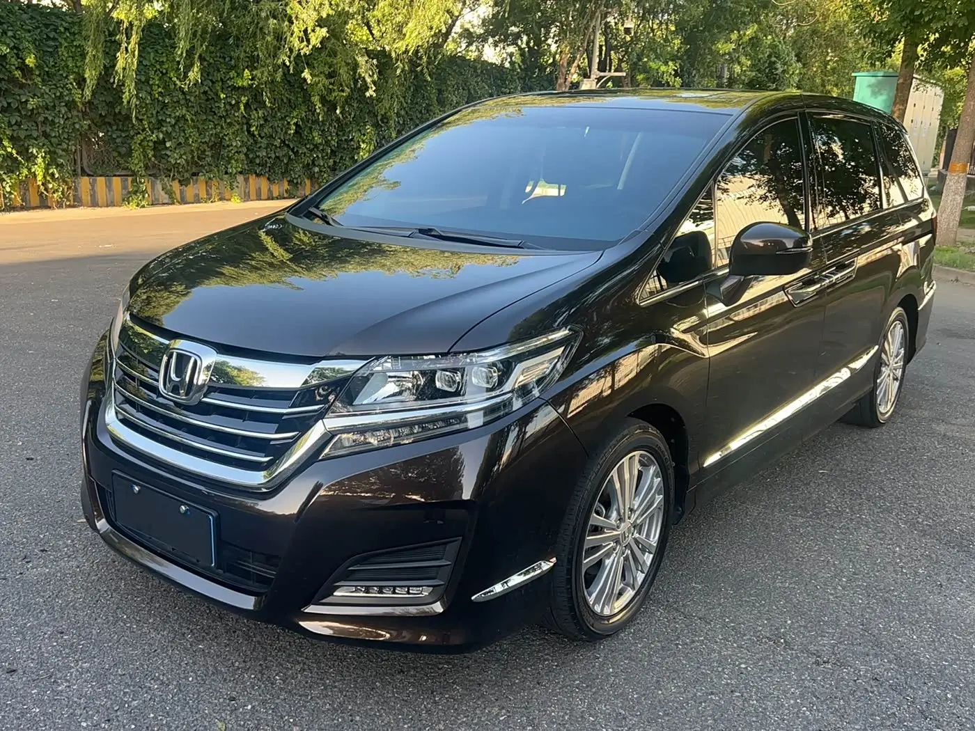 Honda Elysion 2019 — Photo 1/17