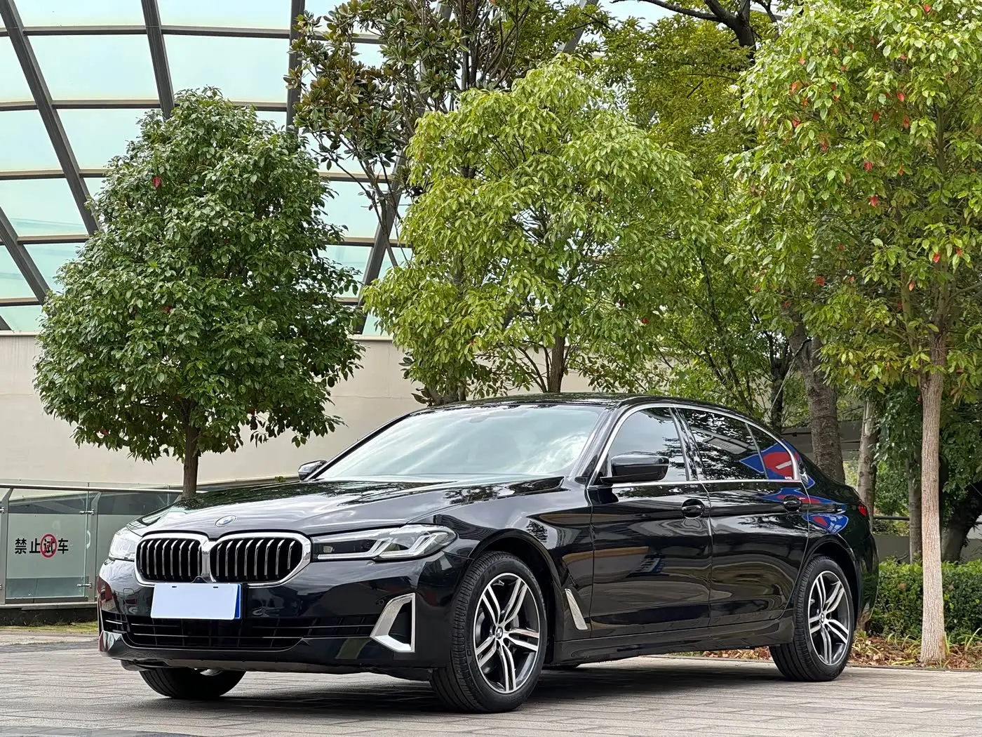 BMW 5 Series, 2021