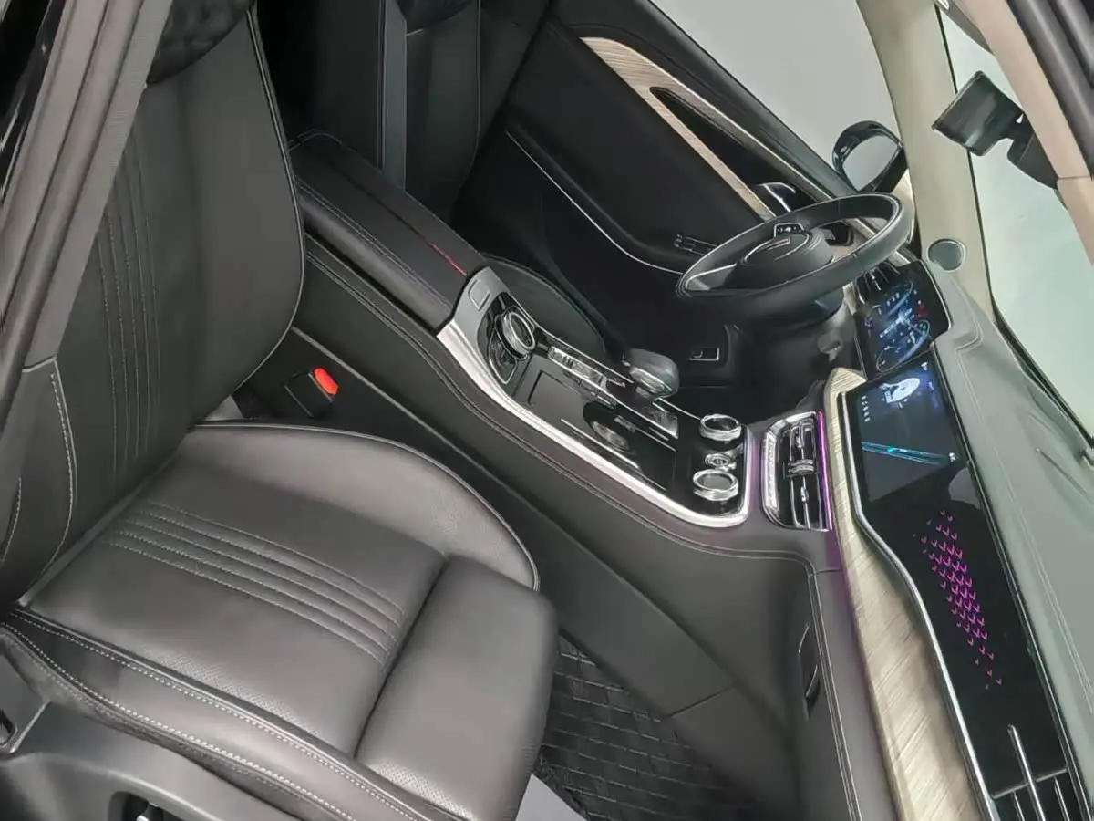 Hongqi H9 2023 — Photo 12/19
