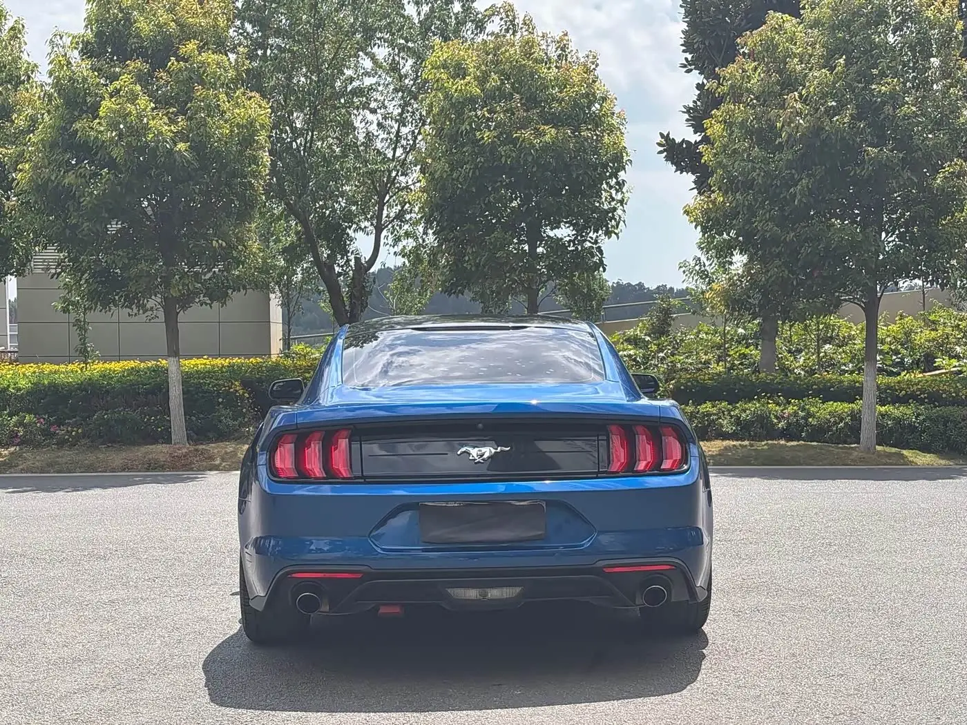 Ford Mustang 2019 — Şəkil 6/17