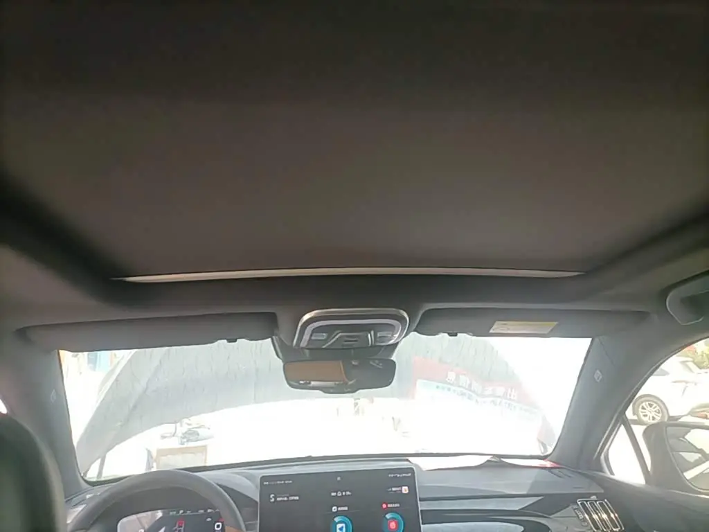 BYD Tang New Energy 2021 — ფოტო 18/20