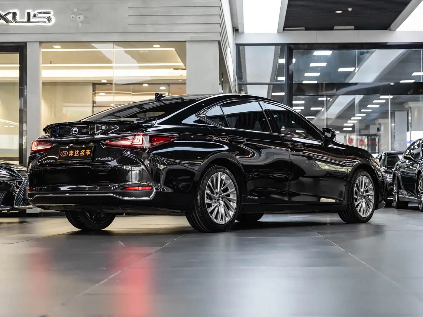 Lexus ES 2020 — Фото 3/20
