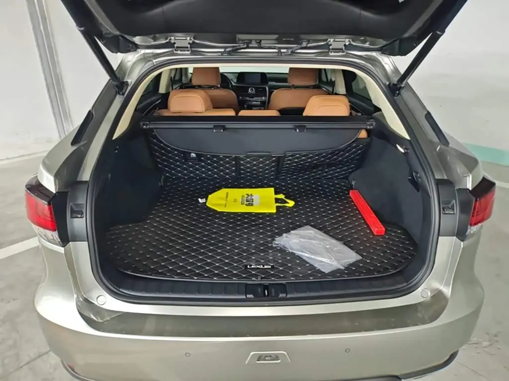 Lexus RX 2022 — Şəkil 19/20