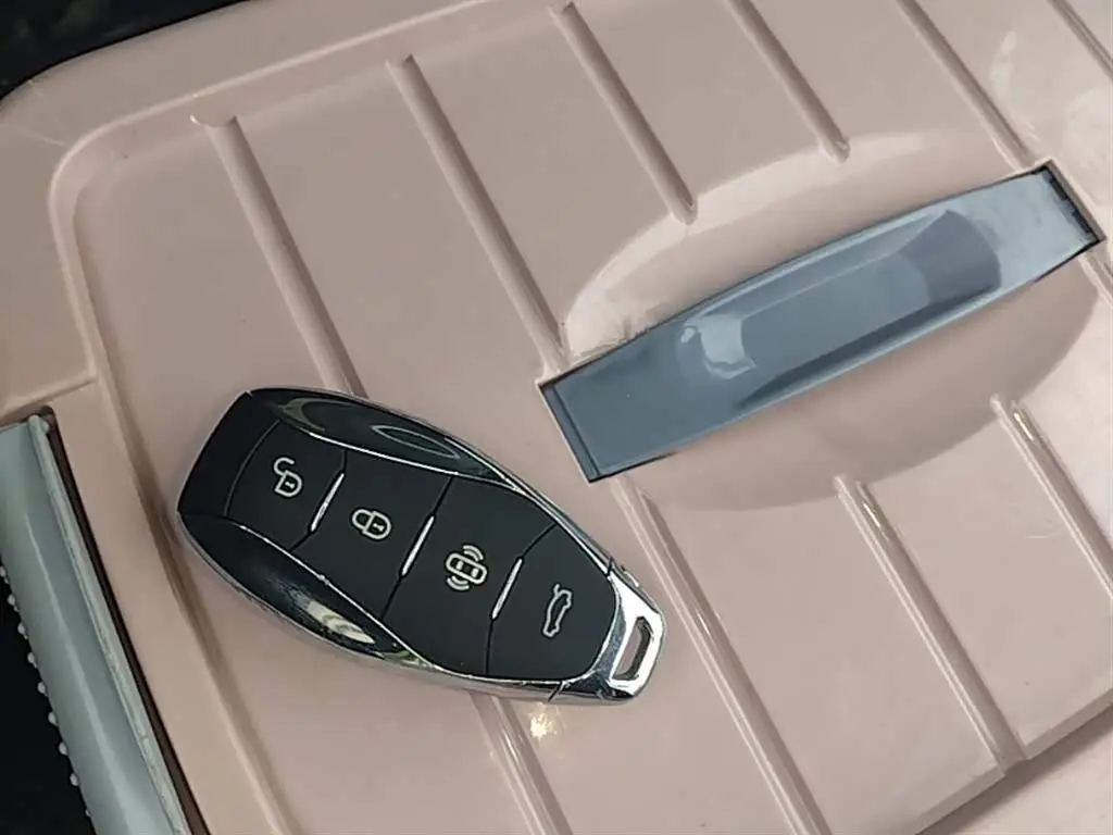 Hongqi HQ9 PHEV 2024 — Photo 9/20