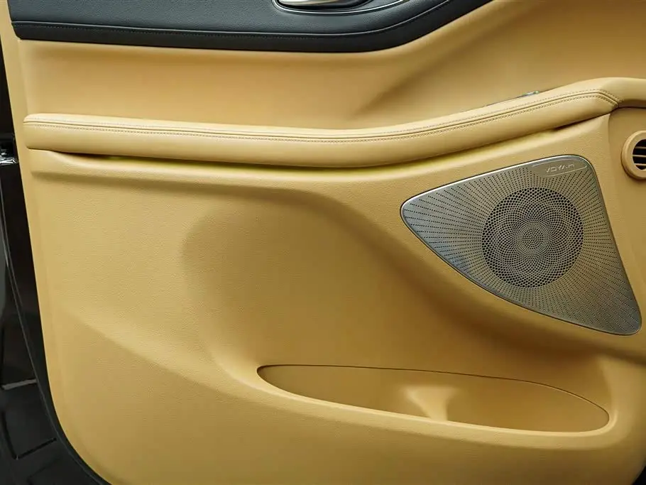 Voyah Auto Voyah Dreamer 2024 — ფოტო 17/20