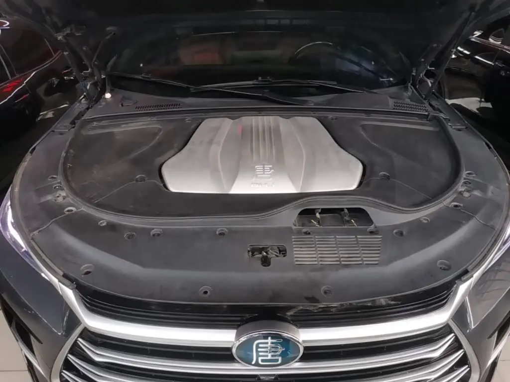 BYD Tang New Energy 2023 — Photo 19/19