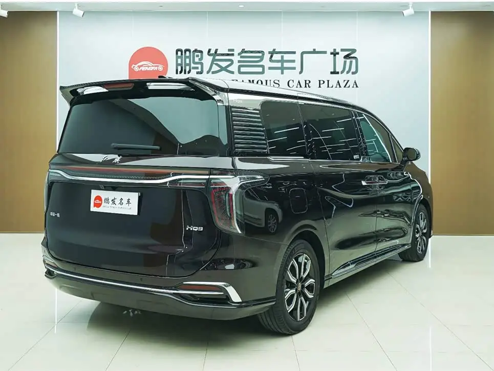 Hongqi HQ9 2024 — ფოტო 18/18