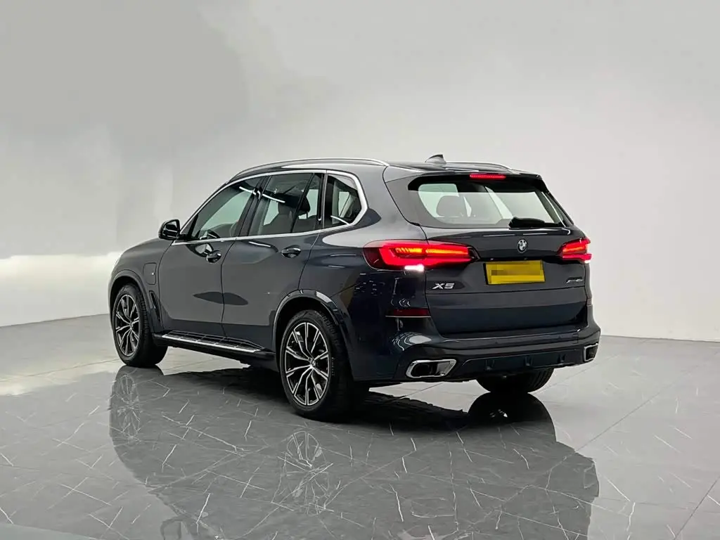 BMW X5 New Energy 2020 — Фото 4/20