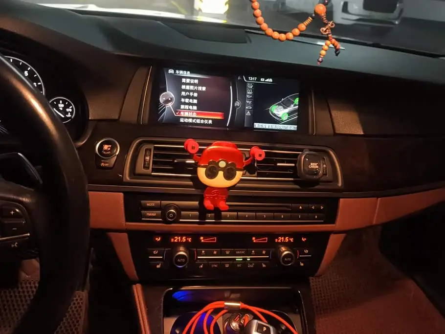 BMW 5 Series 2015 — Photo 13/16