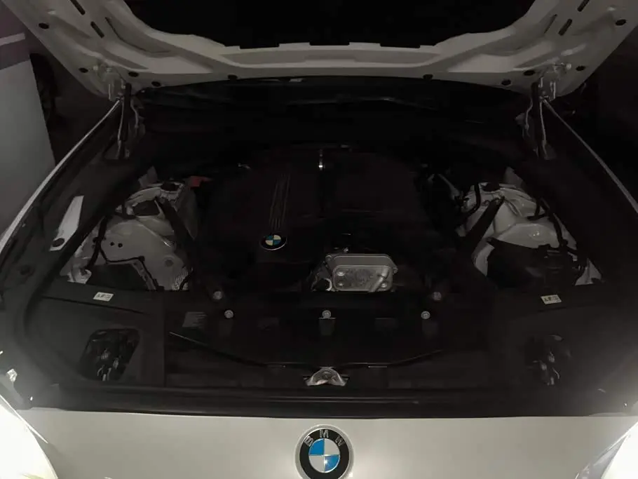 BMW 5 Series 2015 — Photo 10/16