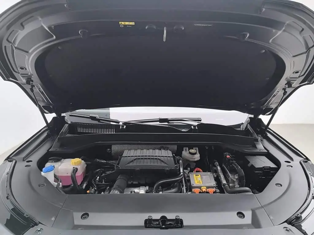 Chery Fengyun Fengyun T9 2025 — Photo 6/20